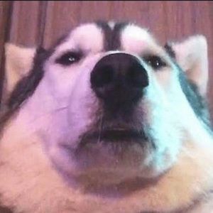 Meet your Posher, Bryan